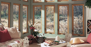 Casement Windows